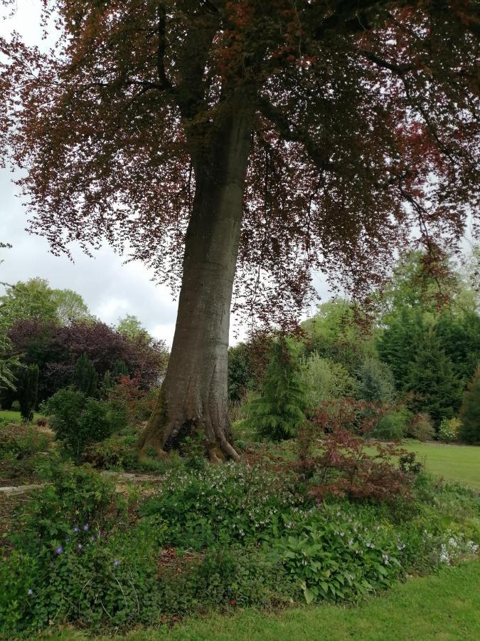 Chambre Le Notre Le Domaine Des Jardins De Bracquetuit Buitenkant foto