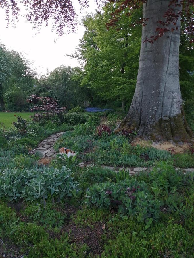 Chambre Le Notre Le Domaine Des Jardins De Bracquetuit Buitenkant foto