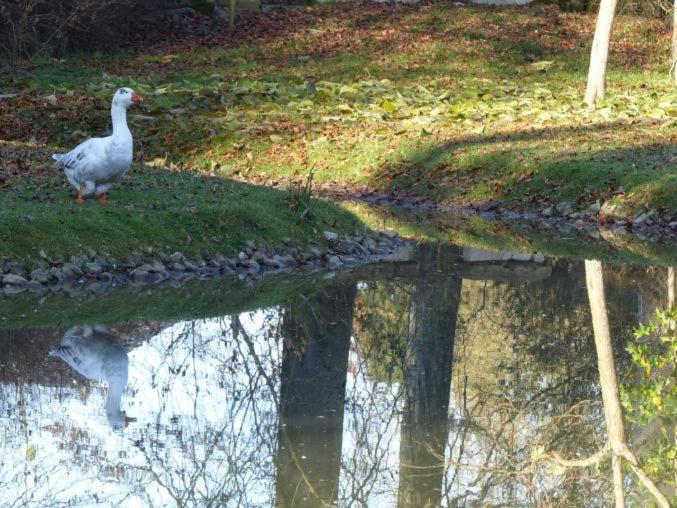 Chambre Le Notre Le Domaine Des Jardins De Bracquetuit Buitenkant foto