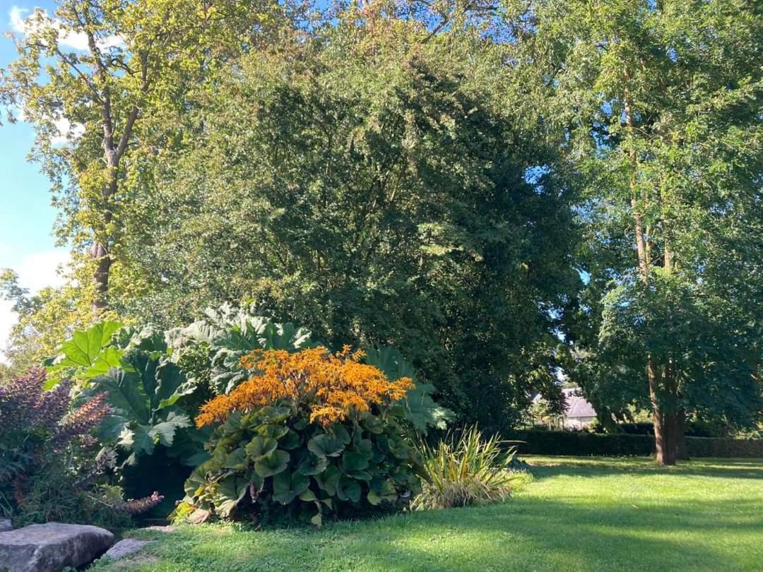 Chambre Le Notre Le Domaine Des Jardins De Bracquetuit Buitenkant foto